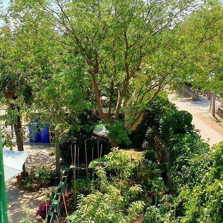 Apartmani Paron Sime Seline Exteriör bild
